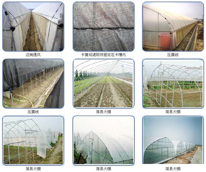 固定大棚薄膜，簡易大棚安裝完成