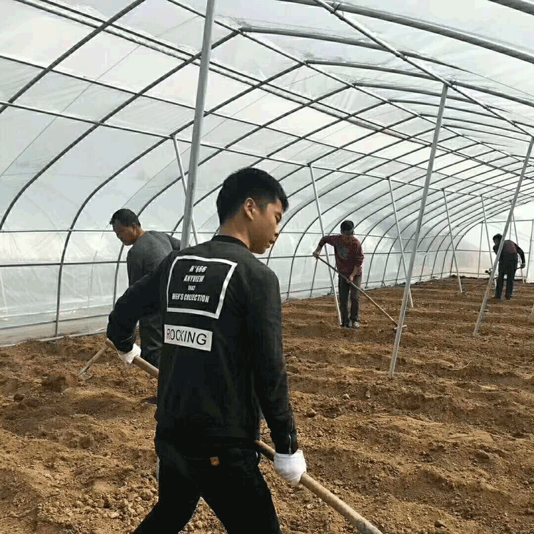 簡易拱棚（農用大棚）高清圖片